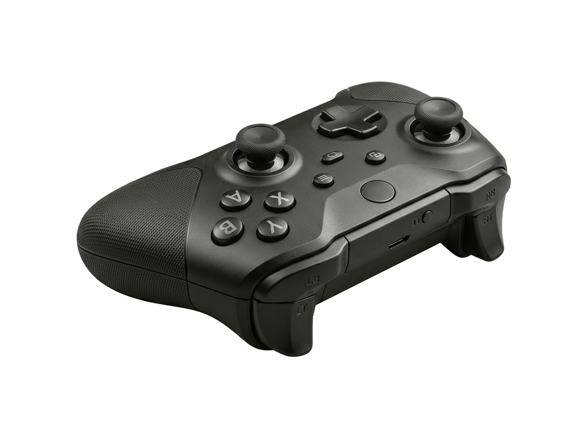 Schwarzer Gaming-Controller mit Analogsticks und Steuerkreuz